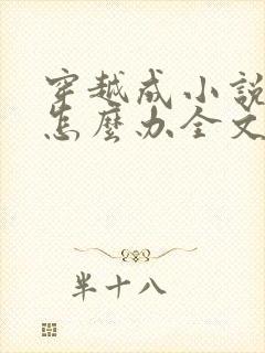 穿越成小说反派怎么办全文阅读