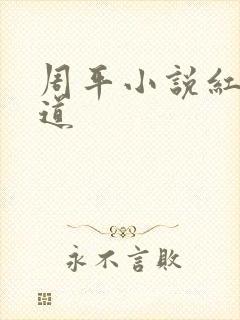 周平小说红颜政道