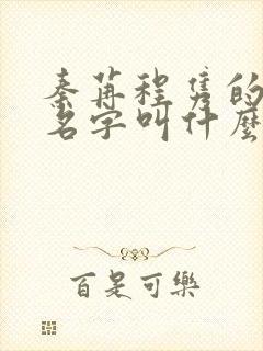 秦苒程隽的小说名字叫什么