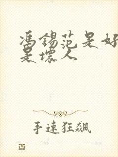 冯锡范是好人还是坏人