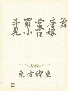 斗罗当唐舞麟遇见小霍娘