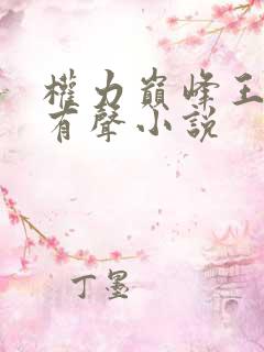 权力巅峰王鸿涛有声小说