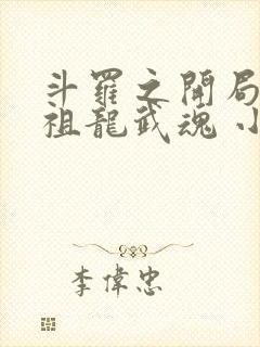 斗罗之开局签到祖龙武魂 小说