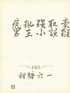 疯批强取豪夺双男主小说推荐