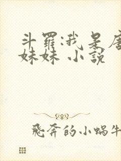 斗罗:我是唐三妹妹 小说