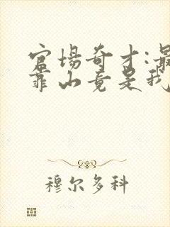 官场奇才:最强靠山竟是我自己李澜全文阅