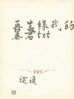 再生缘我的温柔暴君txt