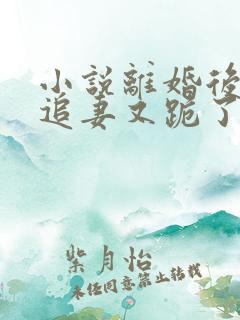 小说离婚后大佬追妻又跪了