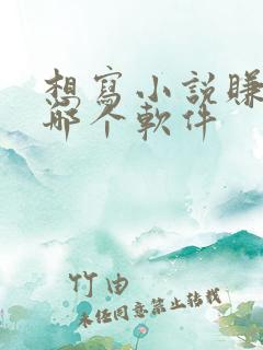 想写小说赚钱去哪个软件