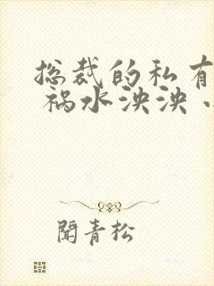 总裁的私有宝贝 祸水泱泱 小说