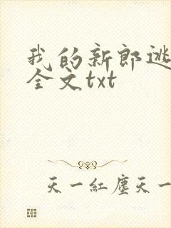 我的新郎逃婚了全文txt