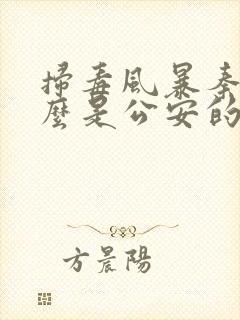 扫毒风暴秦昊怎么是公安的人