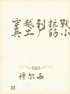 穿越到抗战前建兵工厂的小说