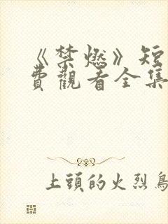 《禁燃》短剧免费观看全集
