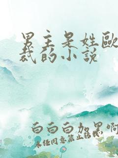 男主是姓欧的总裁的小说