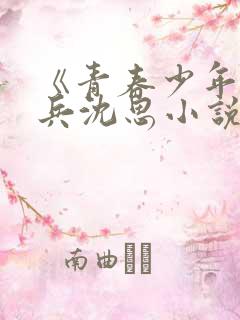 《青春少年》李兵沈思小说