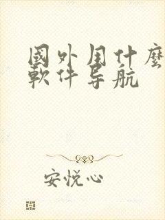 国外用什么地图软件导航