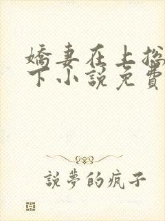 娇妻在上总裁在下小说免费阅读