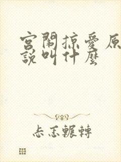 宫闱掠爱原著小说叫什么