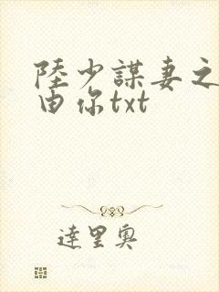 陆少谋妻之婚不由你txt