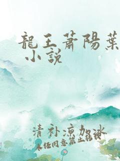 龙王萧阳叶云舒 小说