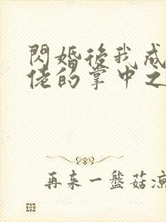 闪婚后我成了大佬的掌中之物47