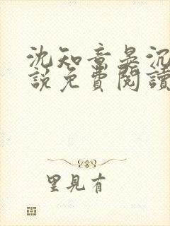 沈知意晏沉风小说免费阅读