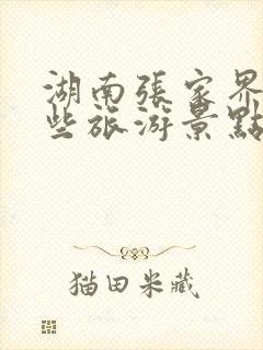 湖南张家界有哪些旅游景点最出名