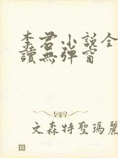 李君小说全文阅读无弹窗