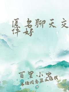 匿名聊天交友软件好