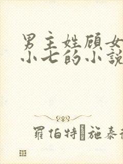 男主姓顾女主叫小七的小说