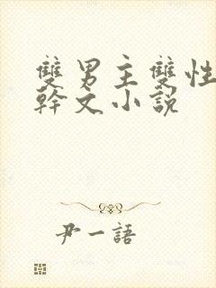 双男主双性别高干文小说