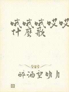 哦哦哦哎哎哎是什么歌