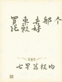 买车去那个网站比较好