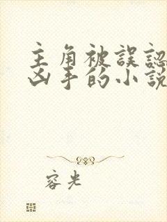 主角被误认为是凶手的小说