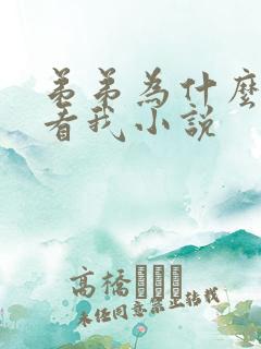 弟弟为什么那么看我小说