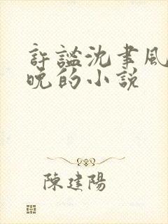 许谧沈聿风宋星晚的小说