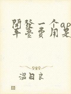 开发一个app平台费用是多少