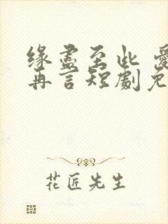 缘尽至此 爱不再言短剧免费观看70