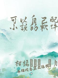 可以自己配音的小说的软件