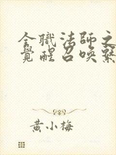 全职法师之开局觉醒召唤系 完结版