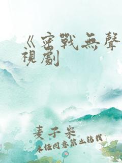 《密战无声》电视剧