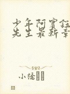 少年阿宾钰慧胡先生最新章节更新内