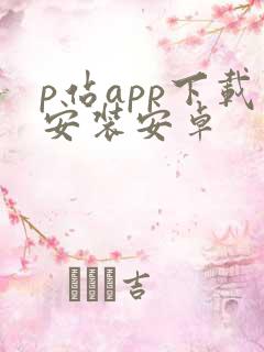 p站app下载安装安卓