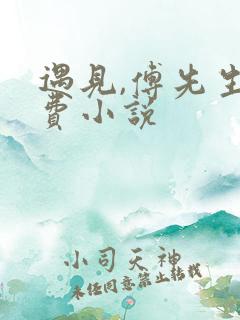 遇见,傅先生免费小说