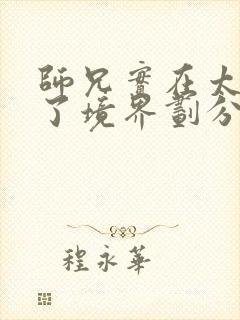 师兄实在太稳健了境界划分