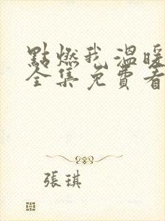 点燃我温暖你在全集免费看电视剧