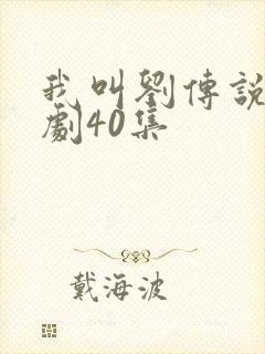 我叫刘传说电视剧40集