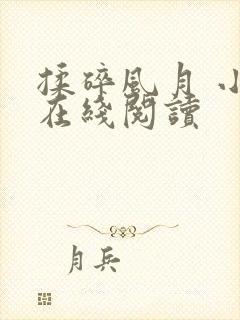 揉碎风月 小说在线阅读