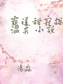 霸道甜宠总裁请温柔 小说